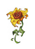Sunflower 1 (3005)