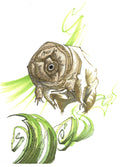 Tardigrade (3104)